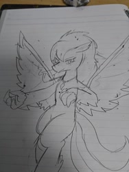 Size: 1080x1440 | Tagged: safe, artist:omegapony16, derpibooru import, oc, oc only, oc:oriponi, hippogriff, eraser, female, hippogriff oc, irl, jewelry, lineart, lined paper, necklace, photo, solo, traditional art