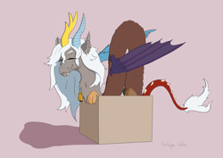 Size: 3508x2480 | Tagged: safe, artist:ardilya, derpibooru import, discord, eris, draconequus, adoreris, behaving like a cat, box, cozy, cute, happy, if i fits i sits, in a box, noodle, pink background, rule 63, rule63betes, simple background, white hair