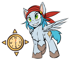 Size: 1000x900 | Tagged: safe, artist:lostdreamm, derpibooru import, oc, oc only, oc:north compass, pegasus, pony, bandana, chest fluff, compass, cutie mark, female, mare, raised hoof, reference sheet, simple background, solo, transparent background, wings