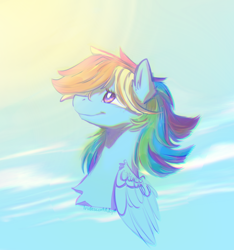 Size: 898x961 | Tagged: safe, artist:iridescentadopt, derpibooru import, rainbow dash, pegasus, pony, bust, cloud, female, folded wings, mare, sky, smiling, solo, sun, wings