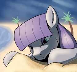 Size: 2290x2143 | Tagged: safe, artist:ahobobo, maud pie, earth pony, beach, cute, female, mare, maudabetes, ocean, palm tree, rock, sand, solo, that pony sure does love rocks, tree