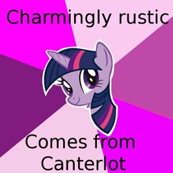 Size: 600x600 | Tagged: safe, derpibooru import, twilight sparkle, pony, sweet and elite, advice meme, exploitable meme, female, mare, meme, text