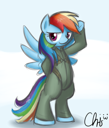 Size: 1703x2000 | Tagged: safe, artist:nekocrispy, rainbow dash, pegasus, pony, clothes, female, jumpsuit, mare, raised hoof, smiling, spread wings, wings