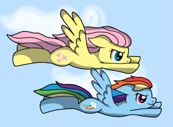 Size: 1667x1221 | Tagged: safe, artist:novaspark, fluttershy, rainbow dash, pegasus, pony, female, flying, mare, wings