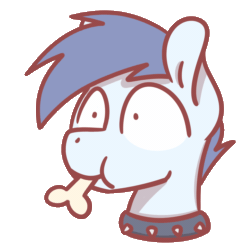 Size: 2560x2560 | Tagged: safe, artist:sugar morning, oc, oc only, oc:slipstream, dog pony, pony, animated, blinking, bone, boofy, bust, collar, eating, gif, high res, male, monch, nom, portrait, simple background, solo, spiked collar, stallion, transparent background