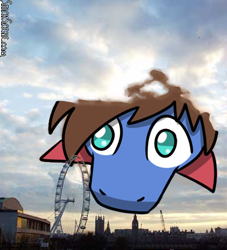 Size: 400x441 | Tagged: safe, artist:sugar morning, oc, oc only, oc:bizarre song, pony, bust, london, me perdonas, meme, photo, portrait, solo