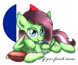 Size: 571x478 | Tagged: safe, artist:sugar morning, oc, oc:watermelon success, pony, french flag, pillow