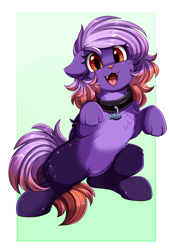 Size: 1771x2625 | Tagged: safe, artist:pridark, derpibooru import, oc, oc only, oc:ardent dusk, cat, cat pony, original species, pony, cheek fluff, chest fluff, collar, cute, cute little fangs, fangs, floppy ears, looking at you, open mouth, open smile, pale belly, paws, smiling, smiling at you, solo