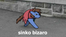 Size: 800x450 | Tagged: safe, artist:sugar morning, oc, oc:bizarre song, cat, pony, cape, clothes, irl, jewelry, meme, necklace, obscure reference, photo, ponified, ponified animal photo, sinko peso, text, two legged creature, walking, when you walking