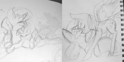 Size: 1024x512 | Tagged: safe, artist:thestarsofpines, sunset shimmer, twilight sparkle, twilight sparkle (alicorn), alicorn, pony, unicorn, blushing, boop, cuddling, cute, eyes closed, female, heart, lesbian, mare, monochrome, noseboop, shimmerbetes, shipping, sketch, spread wings, sunsetsparkle, traditional art, twiabetes, wings