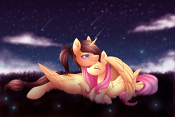 Size: 4500x3000 | Tagged: safe, artist:scarlet-spectrum, derpibooru import, fluttershy, oc, oc:eternal light, alicorn, firefly (insect), pegasus, pony, absurd resolution, alicorn oc, blue eyes, blushing, canon x oc, cloud, eyes closed, female, field, folded wings, hug, male, mare, night, ponytail, scenery, shipping, shooting star, stallion, stars, straight, winghug