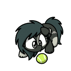 Size: 1000x1000 | Tagged: safe, artist:sugar morning, oc, oc only, oc:lacy, dog, dog pony, pegasus, animated, ball, behaving like a cat, colored, commission, cute, cutie mark, female, food, mango, mare, simple background, solo, sugar morning's play time, tennis ball, transparent background, ych result, your character here