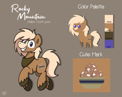 Size: 2560x2048 | Tagged: safe, alternate version, artist:sugar morning, oc, oc only, oc:rocky mountain, earth pony, pony, bandana, commission, cutie mark, male, pointy ponies, reference sheet, simple background, solo, stallion, unshorn fetlocks
