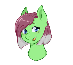 Size: 667x593 | Tagged: safe, artist:poofindi, part of a set, oc, oc only, oc:watermelon success, earth pony, pony, bust, female, gradient mane, mare, simple background, solo, transparent background, ych result