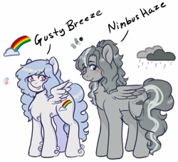 Size: 1031x941 | Tagged: safe, artist:poofindi, oc, oc only, oc:gusty breeze, oc:nimbus haze, pegasus