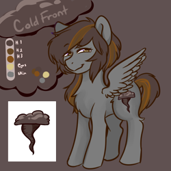 Size: 2000x2000 | Tagged: safe, artist:poofindi, oc, oc only, oc:cold front, pegasus, reference sheet
