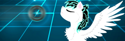 Size: 1500x500 | Tagged: safe, artist:shinycyan, oc, oc only, oc:light jet, pegasus, pony, commission, identity disk, male, solo, stallion, the grid, tron legacy