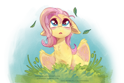 Size: 872x582 | Tagged: safe, artist:stepandy, derpibooru import, fluttershy, pegasus, pony, blush sticker, blushing, cute, female, floppy ears, looking at something, looking up, mare, open mouth, shyabetes, simple background, solo, transparent background