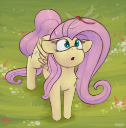 Size: 1770x1796 | Tagged: safe, artist:marsminer, derpibooru import, fluttershy, dragonfly, pegasus, pony, :o, curious, cute, female, looking at something, looking up, mare, open mouth, shyabetes, solo, standing, wings