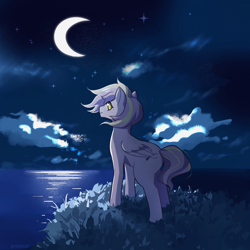 Size: 1920x1920 | Tagged: safe, artist:promiset, derpibooru import, oc, oc only, oc:lavender whisper, pegasus, pony, crescent moon, freckles, looking back, male, moon, night, night sky, overlooking, sky, water