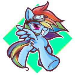 Size: 768x768 | Tagged: safe, artist:tomizawa96, derpibooru import, rainbow dash, pegasus, pony, goggles, hair over one eye, solo, windswept mane