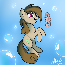 Size: 900x900 | Tagged: safe, artist:wubcakeva, oc, oc only, oc:cupcake slash, earth pony, fish, pony, seahorse, bubble, female, mare, solo, swimming, underwater