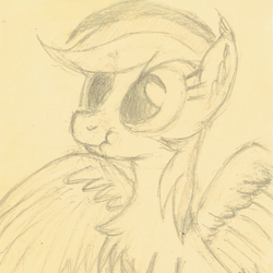 Size: 1047x1047 | Tagged: safe, artist:hotkinkajou, rainbow dash, pegasus, pony, behaving like a bird, chest fluff, ear fluff, female, mating dance, monochrome, pencil drawing, scrunchy face, simple background, solo, spread wings, traditional art, wings