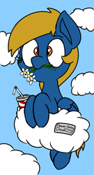 Size: 853x1585 | Tagged: safe, artist:coatieyay, oc, oc only, oc:rainy season, pegasus, pony, cloud, flower