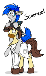 Size: 1162x1920 | Tagged: safe, artist:ralek, oc, oc only, oc:calpain, oc:sapphire sights, earth pony, pegasus, pony, bridge piercing, clothes, female, gauges, hoodie, lab coat, male, mare, piercing, ponies riding ponies, ponysona, science, stallion, unshorn fetlocks