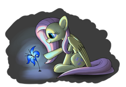 Size: 1057x733 | Tagged: safe, artist:underpable, derpibooru import, fluttershy, pegasus, pony, flower, poison joke, solo