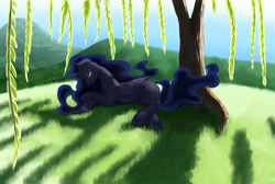 Size: 3048x2048 | Tagged: safe, artist:nadnerbd, derpibooru import, oc, oc only, oc:nyx, alicorn, pony, crying, female, mare, nightmare nyx, sad, solo, tree