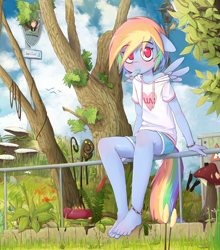 Size: 1850x2100 | Tagged: safe, artist:hoodie, rainbow dash, anthro, pegasus, plantigrade anthro, anklet, barefoot, blushing, bracelet, clothes, cute, dashabetes, detailed, feet, female, floppy ears, food, forest, grass, hoodie, ice cream, lamppost, looking at you, mare, mouth hold, mushroom, outdoors, park, popsicle, sea salt ice cream, shirt, shorts, sitting, solo, toes