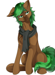 Size: 2800x3800 | Tagged: safe, artist:kuroran, oc, oc only, oc:jaeger, oc:jaeger sylva, pony, clothes, rcf community, scarf, simple background, solo, transparent background, underhoof