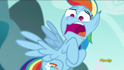 Size: 1920x1088 | Tagged: safe, screencap, rainbow dash, pegasus, pony, no second prances, discovery family logo, faic