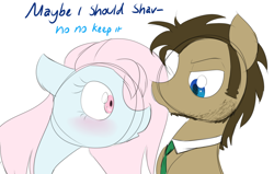 Size: 1280x814 | Tagged: safe, artist:estrill, doctor whooves, oc, oc:nooby, pony, beard, male, stallion