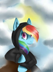 Size: 1024x1373 | Tagged: safe, artist:stanfel, rainbow dash, pegasus, pony, clothes, hoodie, looking at you, solo