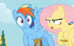 Size: 707x436 | Tagged: safe, screencap, fluttershy, rainbow dash, pegasus, pony, flutter brutter, assertive, discovery family logo, flying, peeved