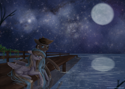 Size: 1024x731 | Tagged: safe, artist:alicesmitt31, oc, oc only, oc:titanium ace, oc:waffles, earth pony, pegasus, pony, couple, date, female, goatee, long hair, love, male, moon, night, ocean, stars, straight, wafface, water