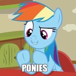 Size: 490x490 | Tagged: safe, rainbow dash, pegasus, pony, flutter brutter, ancient aliens, exploitable meme, giorgio a. tsoukalos, image macro, meme, solo, text