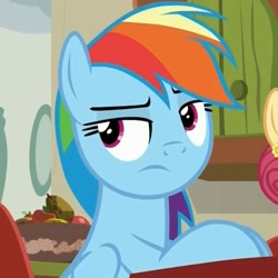 Size: 487x487 | Tagged: safe, screencap, rainbow dash, pegasus, pony, flutter brutter, avatar, disinterested, solo