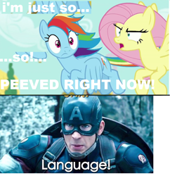 Size: 816x844 | Tagged: safe, fluttershy, rainbow dash, pegasus, pony, flutter brutter, avengers: age of ultron, cap hates foul language, captain america, image macro, marvel, meme, peeved, swearyshy