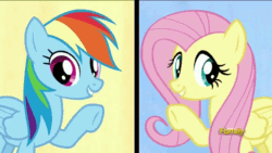 Size: 718x404 | Tagged: safe, screencap, fluttershy, rainbow dash, pegasus, pony, flutter brutter, animated, can i do it on my own, cute, dashabetes, discovery family logo, shyabetes, singing
