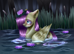 Size: 1500x1110 | Tagged: safe, artist:rappy-yum, fluttershy, duck pony, pegasus, pony, behaving like a duck, ear fluff, freckles, pegaduck, solo, water, waterlily, wet, wet mane