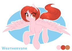 Size: 1339x950 | Tagged: safe, artist:peridotkitty, oc, oc only, oc:weathervane, pegasus, pony, flying, reference sheet, solo, spread wings