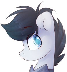 Size: 1024x1103 | Tagged: safe, artist:starlyflygallery, oc, oc only, pony, solo