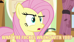 Size: 640x360 | Tagged: safe, artist:fluttershysone, fluttershy, pegasus, pony, meme, no seriously, vulgar