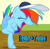 Size: 500x494 | Tagged: safe, rainbow dash, pegasus, pony, contortionist, image macro, meme, solo, wat