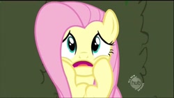 Size: 1280x720 | Tagged: safe, screencap, fluttershy, pegasus, pony, the return of harmony, cute, hub logo, hubble