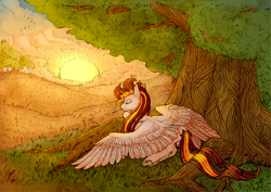 Size: 4324x3058 | Tagged: safe, artist:nightskrill, oc, oc only, oc:golden rain, cute, eyes closed, field, lying down, resting, sleeping, solo, spread wings, sunset