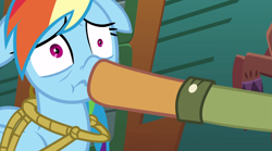 Size: 1920x1064 | Tagged: safe, screencap, quibble pants, rainbow dash, pegasus, pony, stranger than fan fiction, boop, floppy ears, hoof in mouth, mismatched eyes, non-consensual booping, rainbow dash is best facemaker